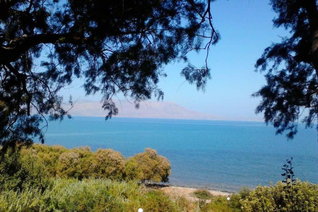 فيلا Kaktos 1 كيساموس المظهر الخارجي الصورة